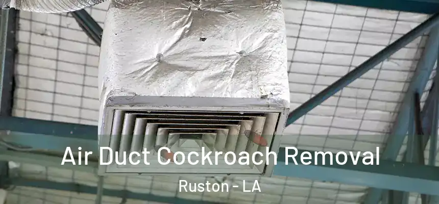  Air Duct Cockroach Removal Ruston - LA