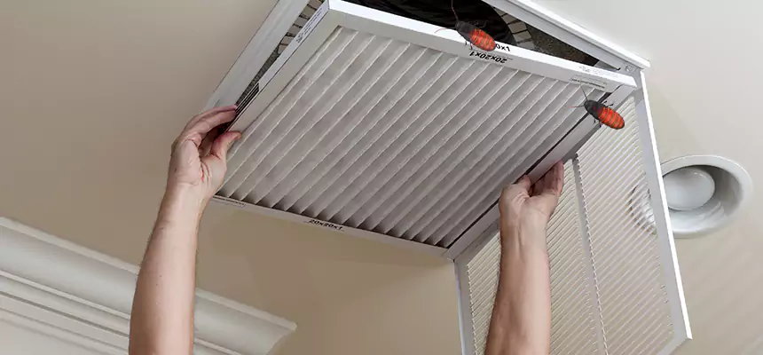 Preventive Cockroach-Proofing for Ducts in Ruston