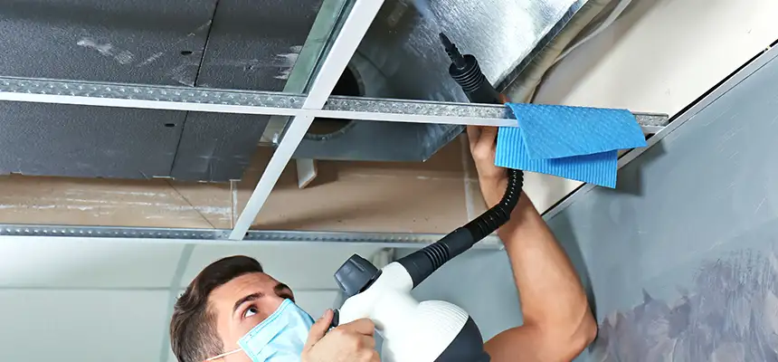 Our Air Duct Rodent Removal Services in Ruston, LA