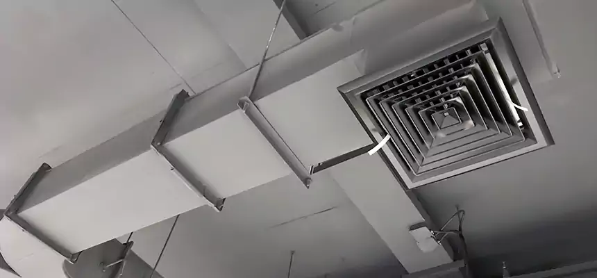 Restorative Allergy Relief Vent Cleaning – Coil, Blower & Housing Detail in Ruston