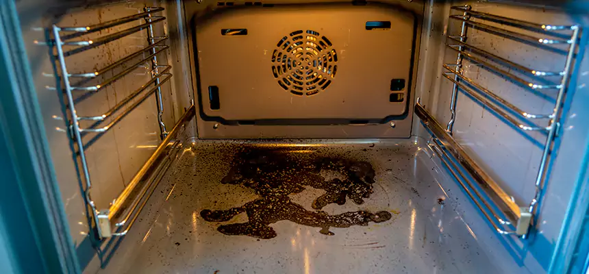 Our Dryer Vent Mold Cleaning Services in Ruston, LA