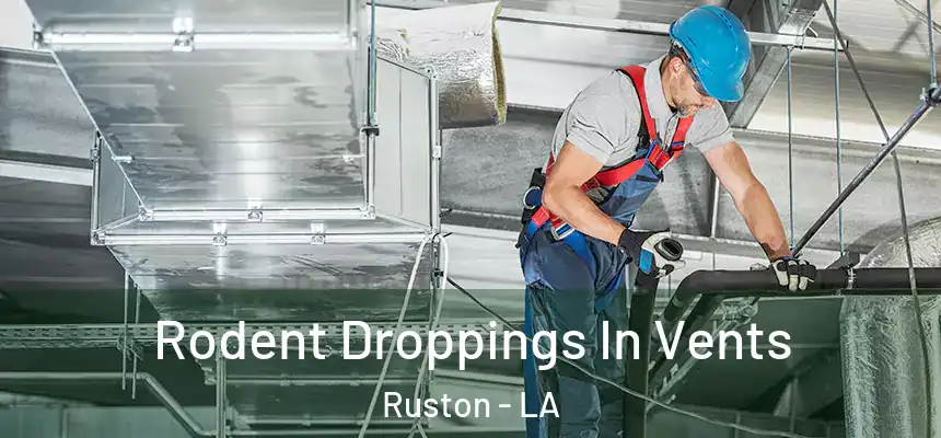  Rodent Droppings In Vents Ruston - LA