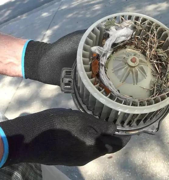 About Air Duct Mice Removal in Ruston, LA