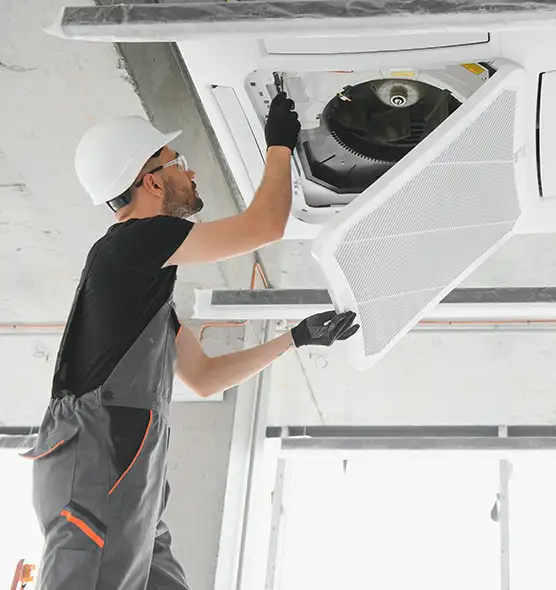 About Air Duct Rodent Removal in Ruston, LA