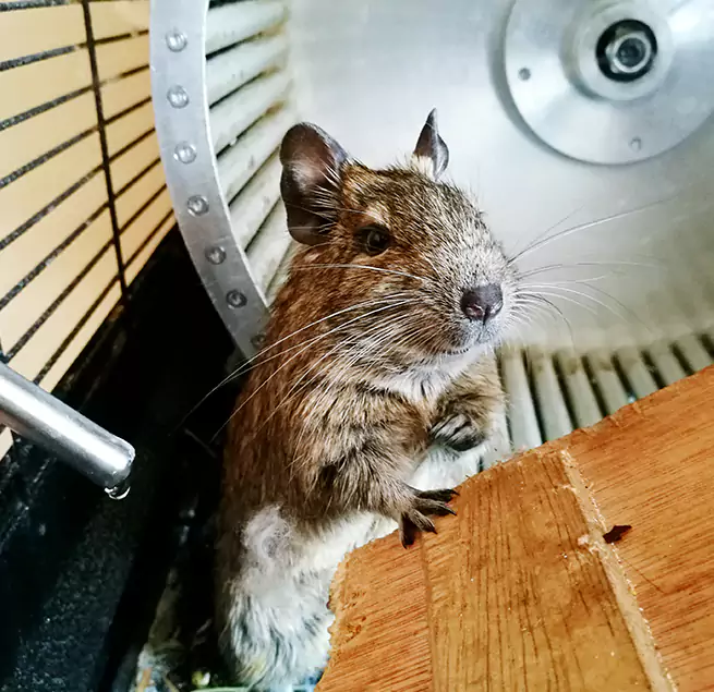 Why Homeowners & Businesses Trust Us Ruston, LA