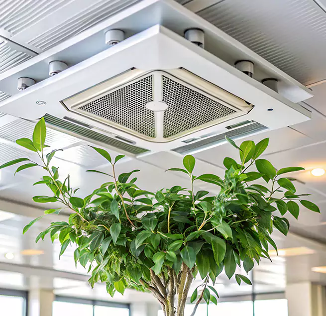 Why Homeowners & Businesses Trust Us in Ruston, LA